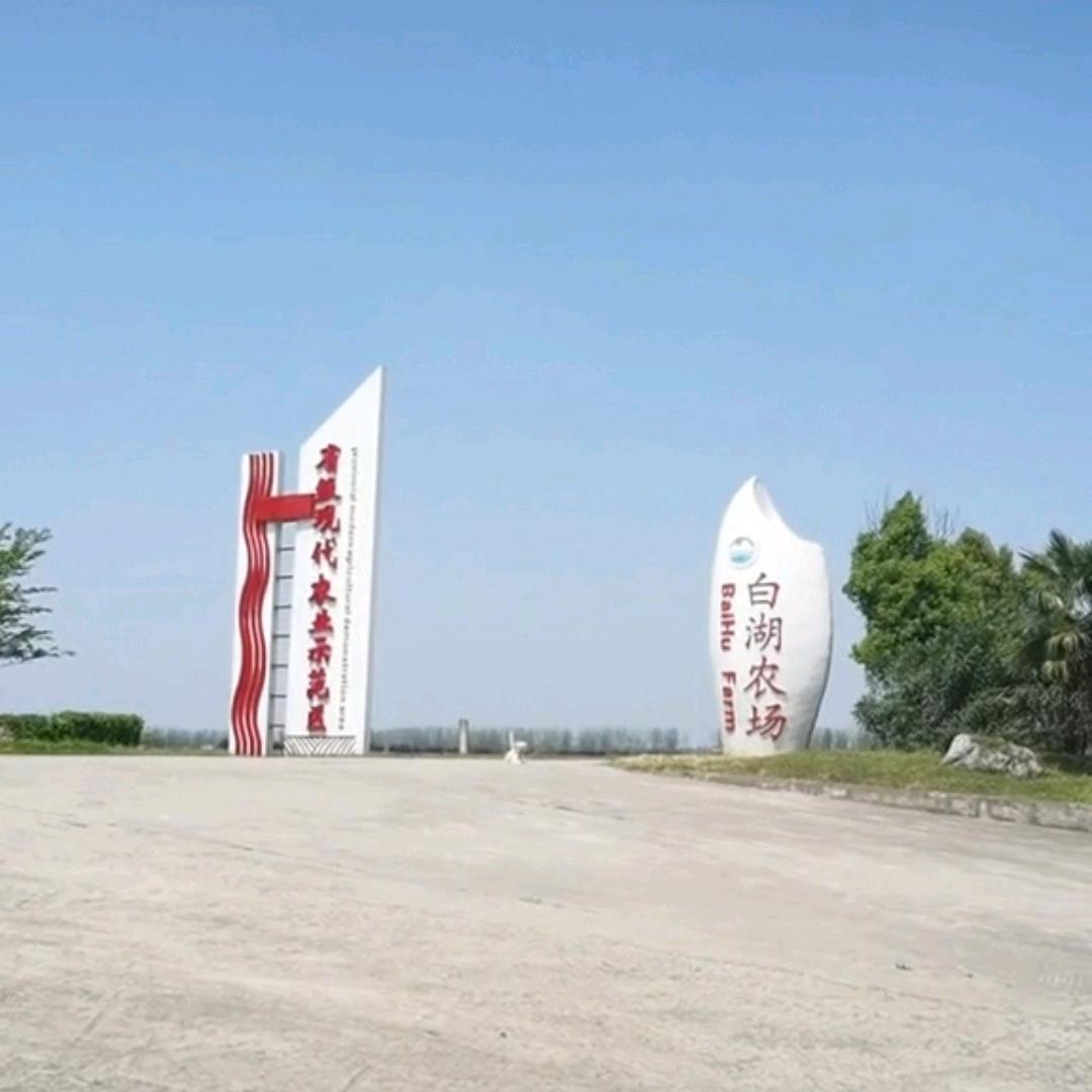 沙鹰视界