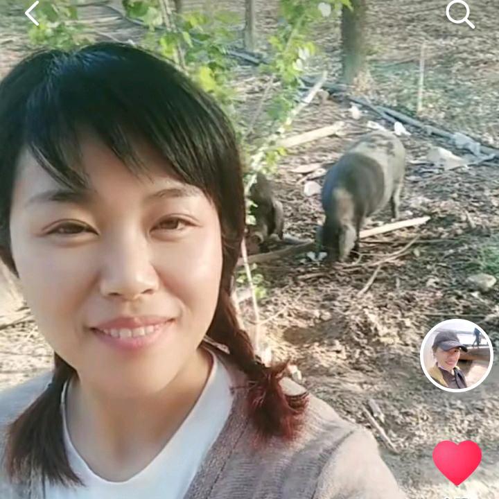 小树林散养黑猪户【长垣】