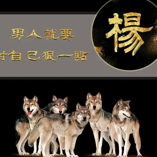 嘉禾永利
