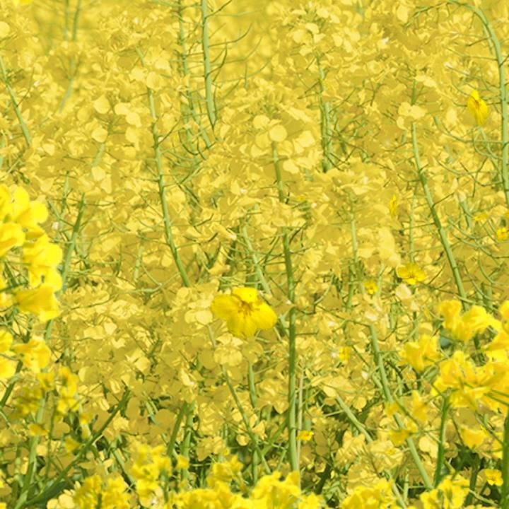 远方有多远  相信自己能成功啊！