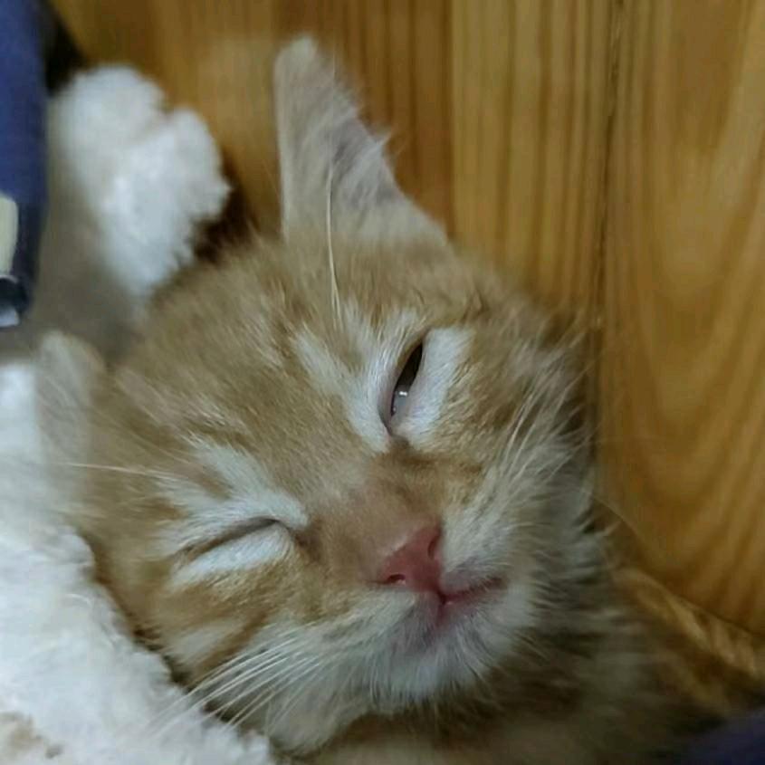 哒哒酱酱酿酿