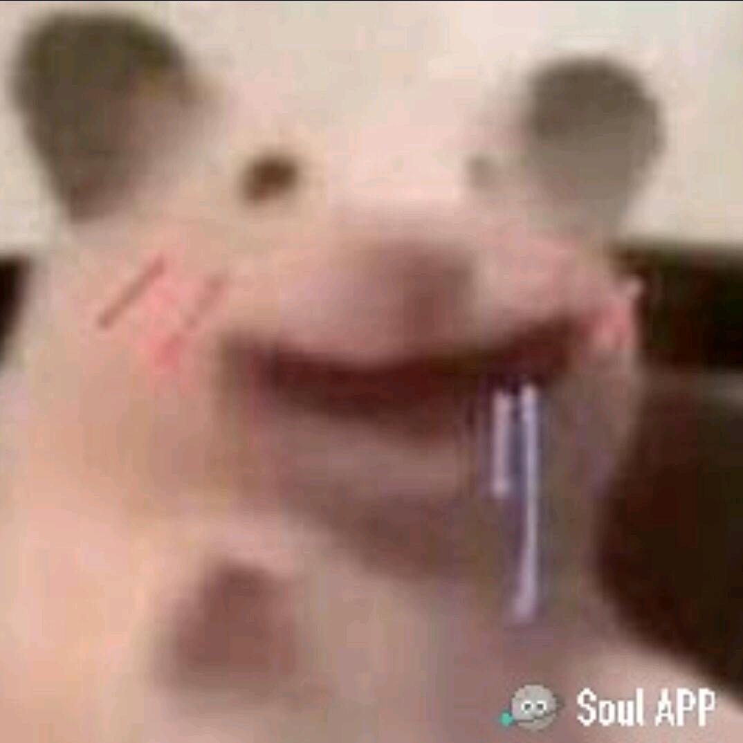 日常的那些事事