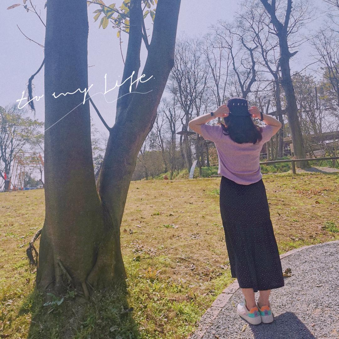 大白的奇妙冒险