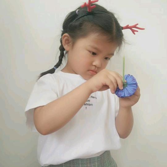 🇨🇦红心雨🇨🇦