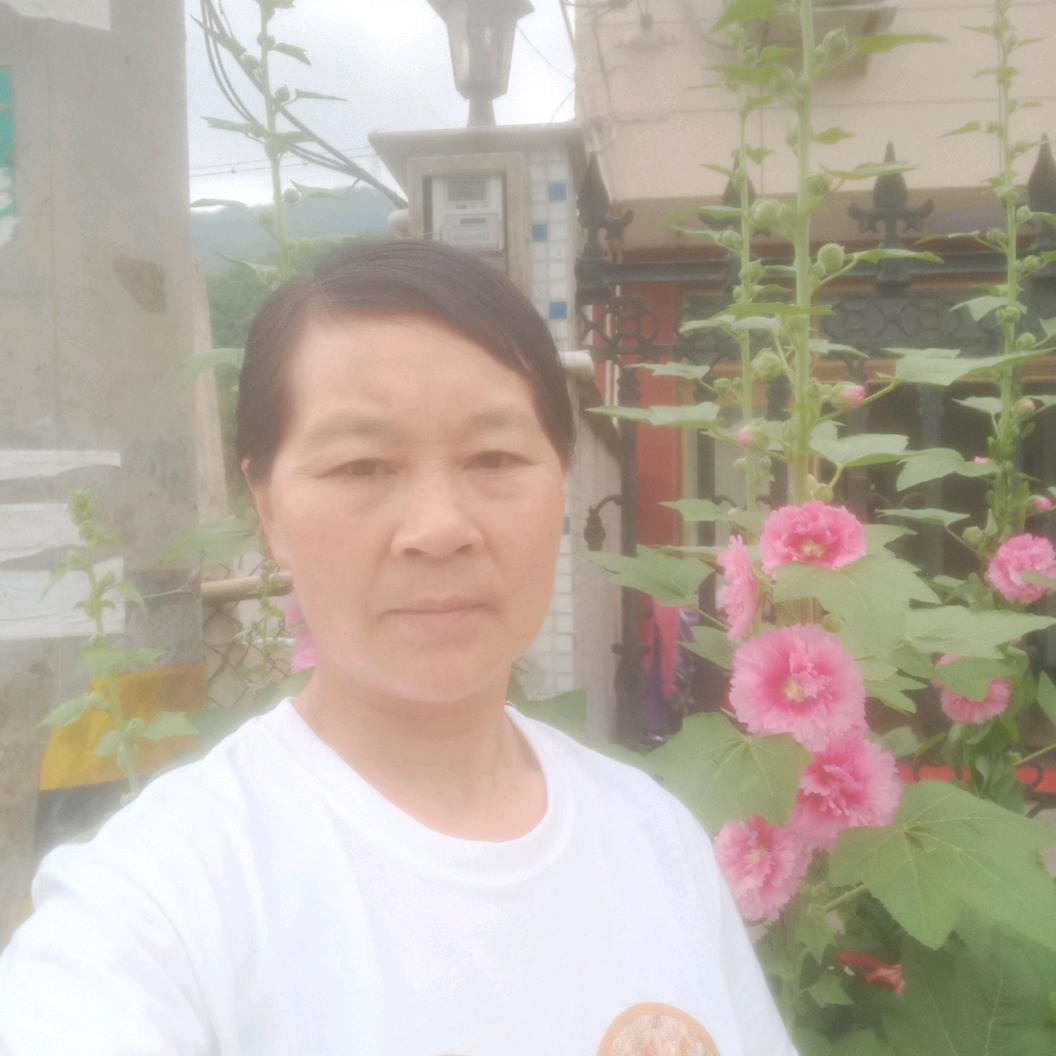 罗霞（大元村）