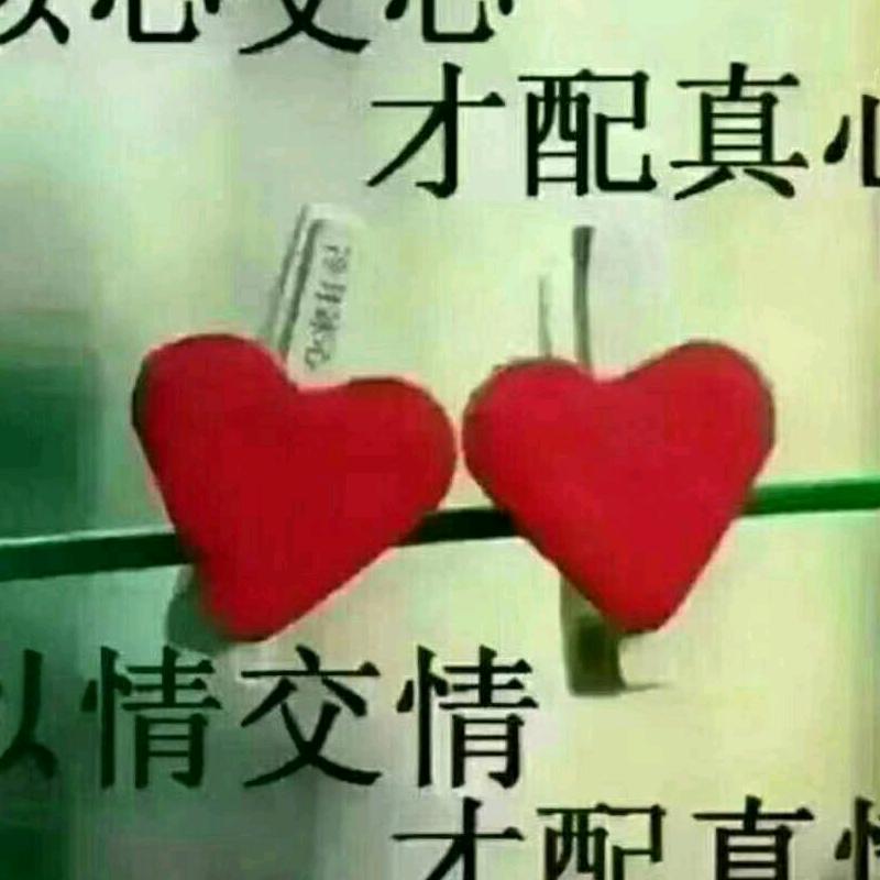 单身离婚中