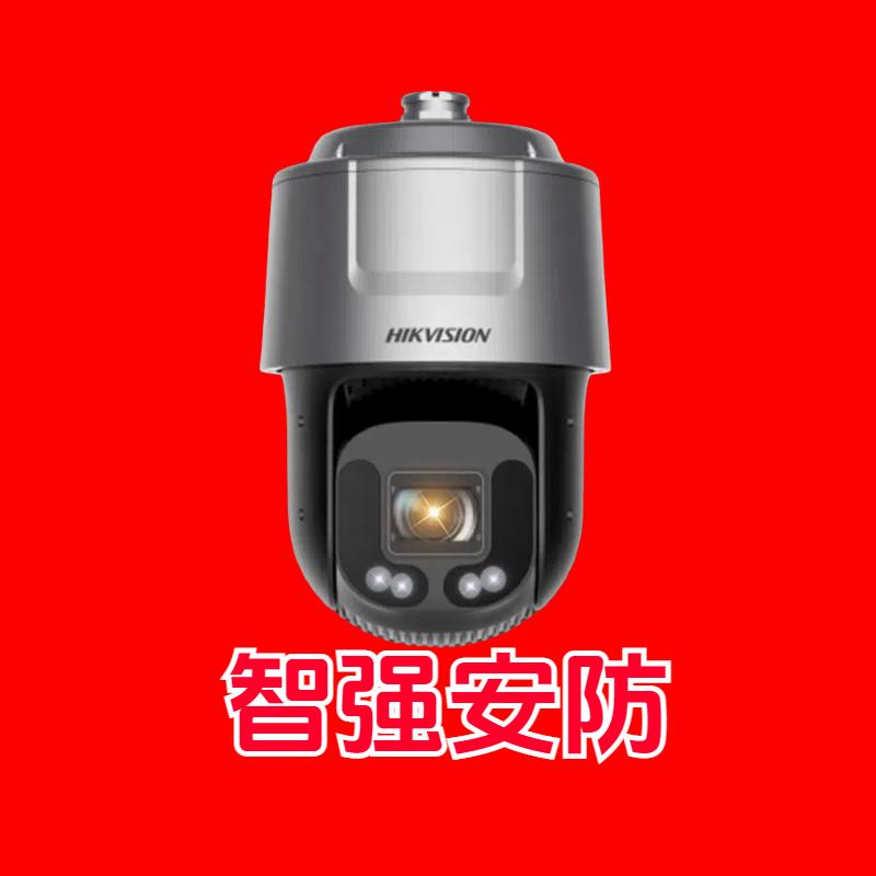 智强电子安防