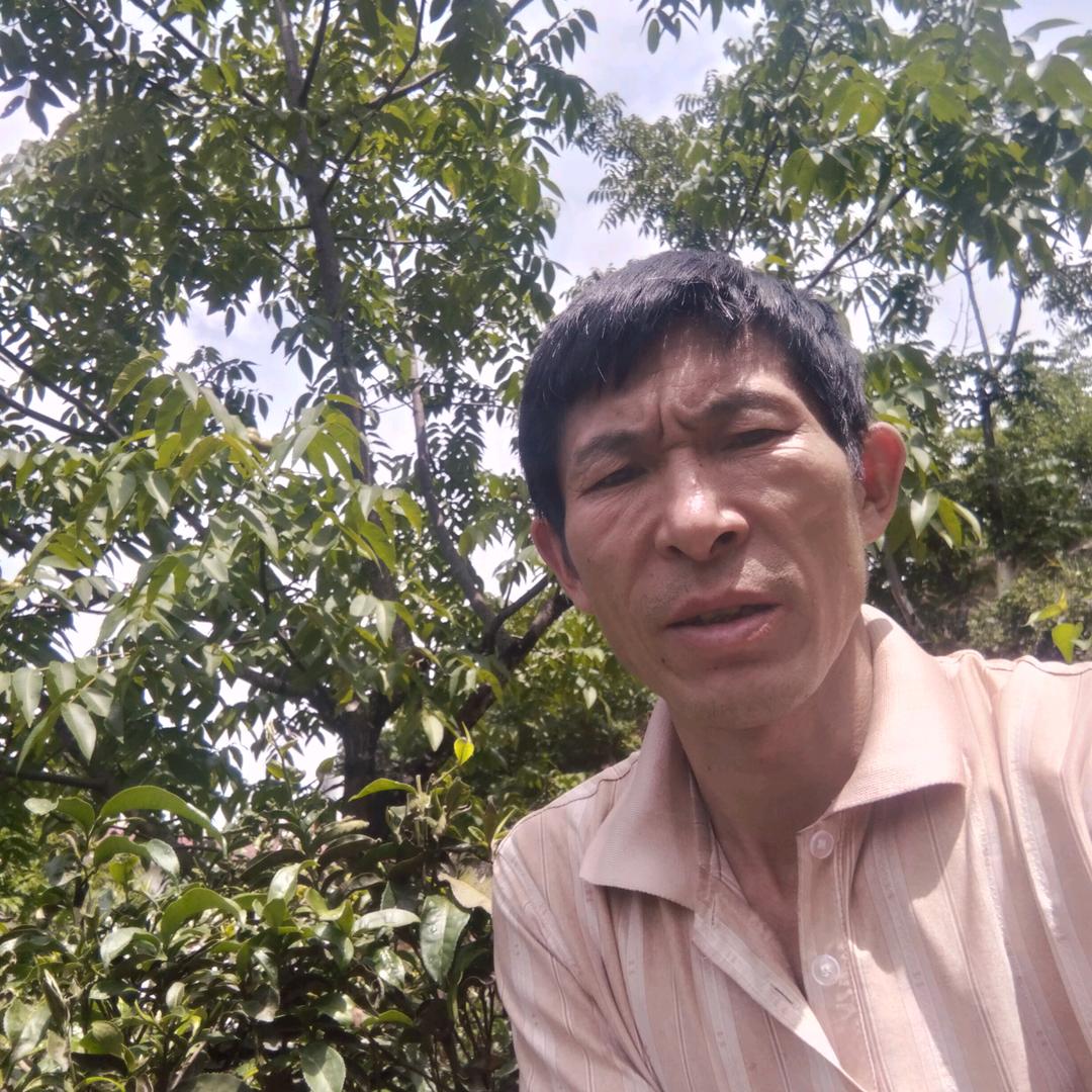 路是走出来的专业二层