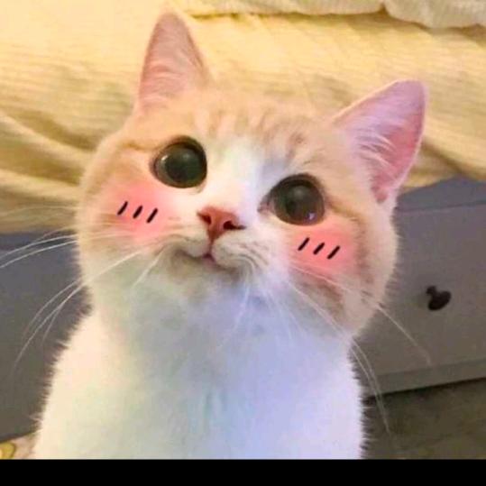 天使遗忘的角落