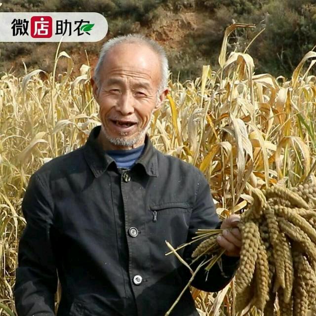 武乡小米郝大爷