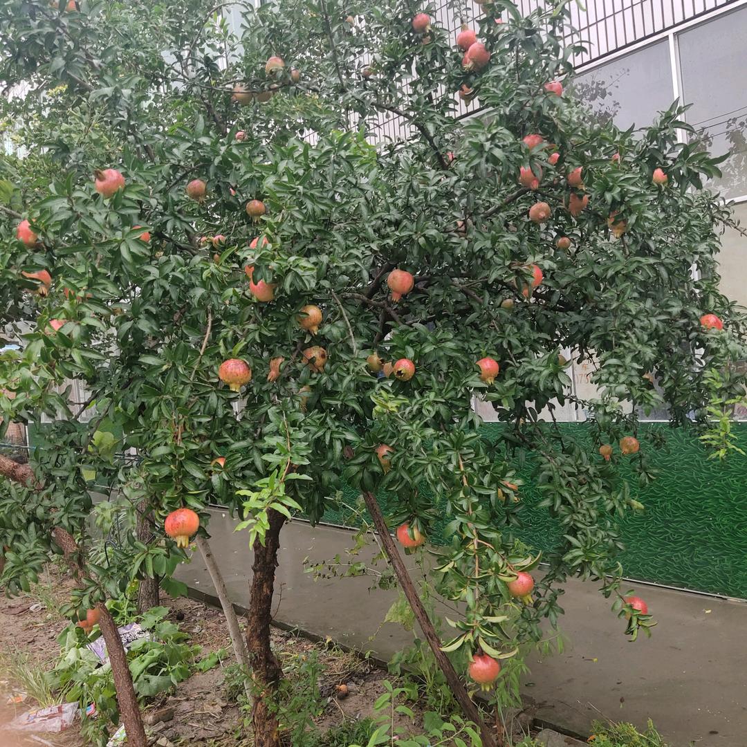 小仓库