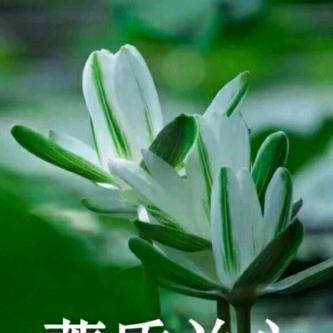 往事随风
