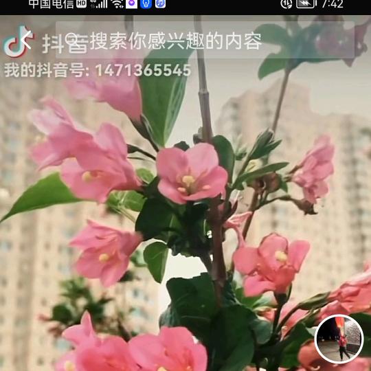 雅雯