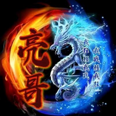 新东城君意豪:亮哥
