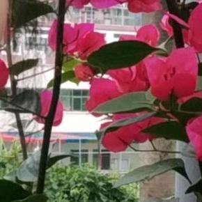 农村阿姨到了深圳