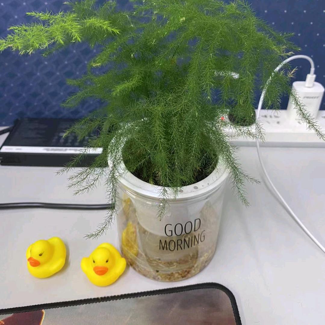 仰角看天