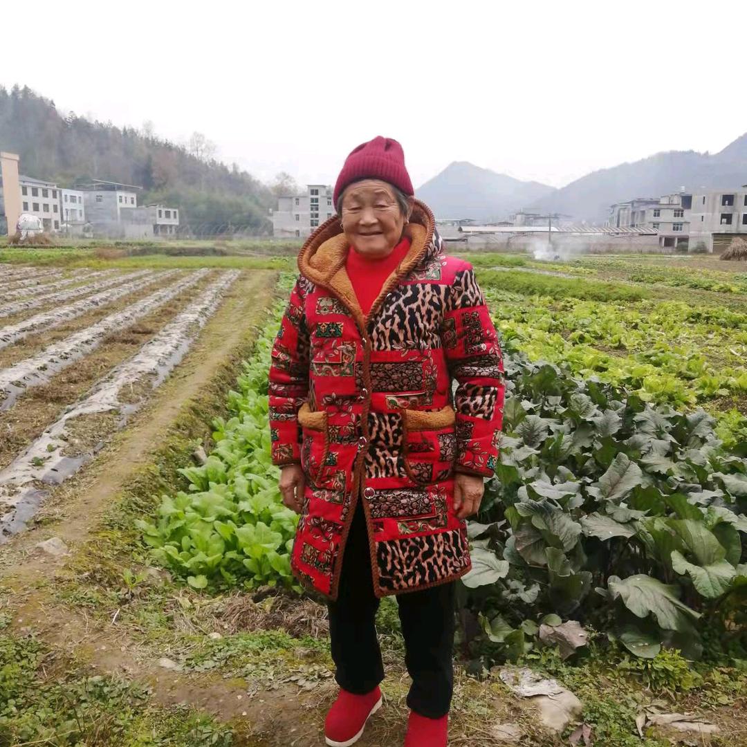 春暖花开，好时机