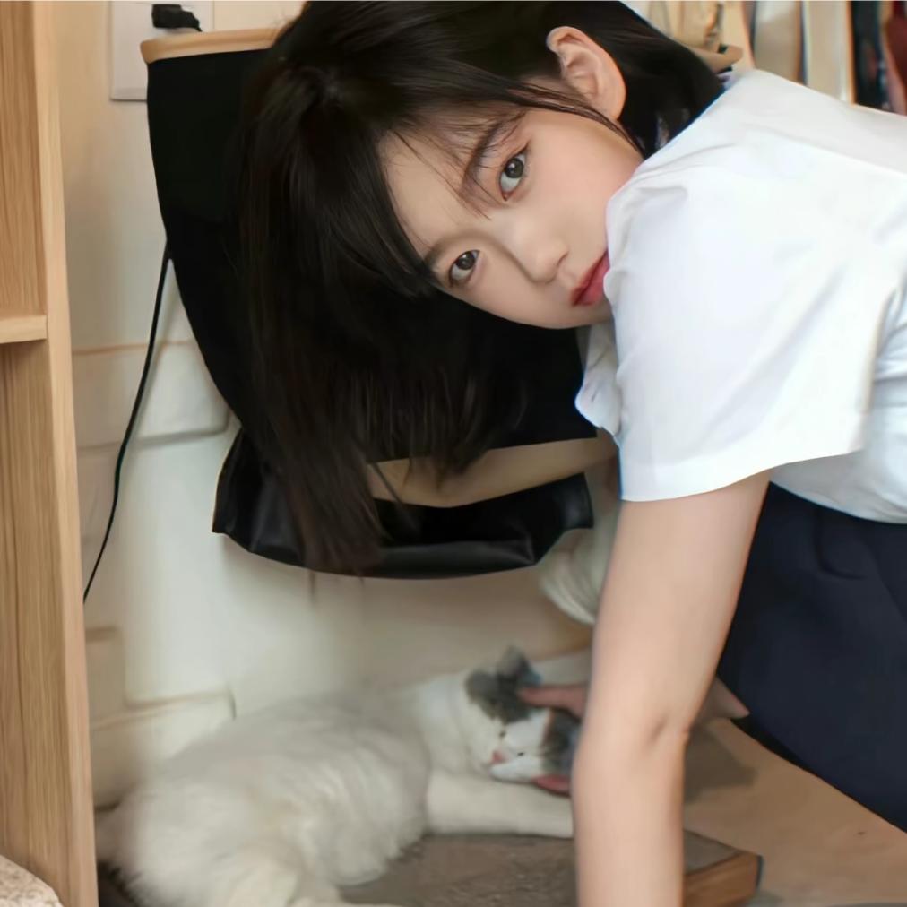发发发发发发发发呆