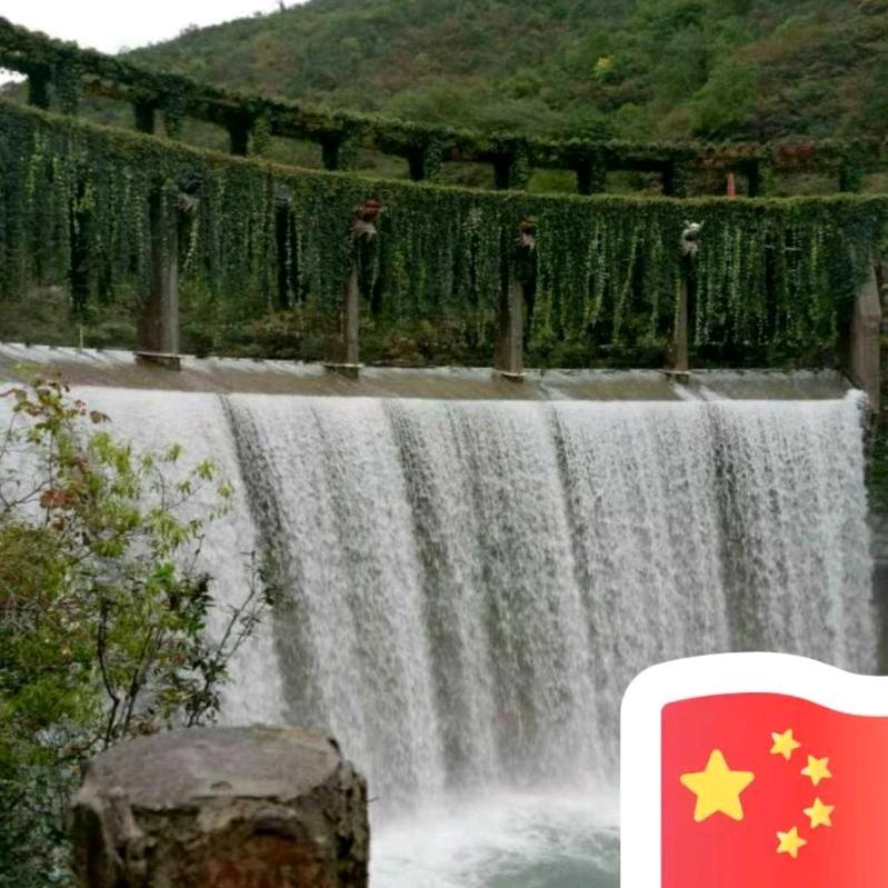 聆听 花语