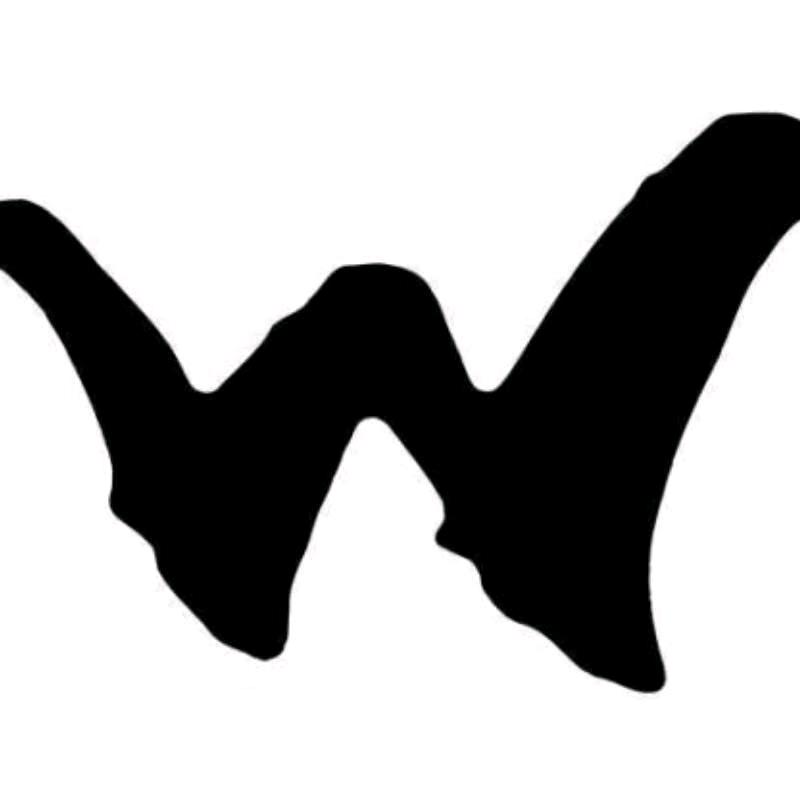 w、