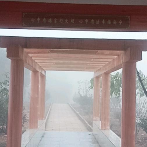 晓晓dyxiao