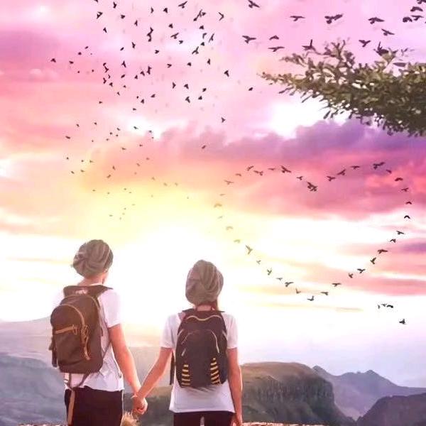 浪迹天涯🐰小蚂蚁