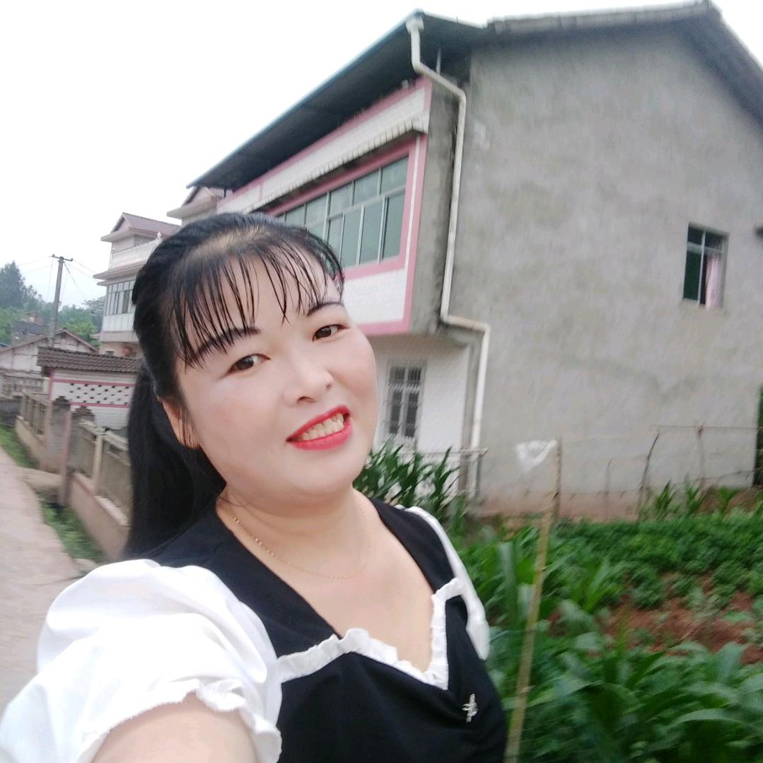 沁菊香