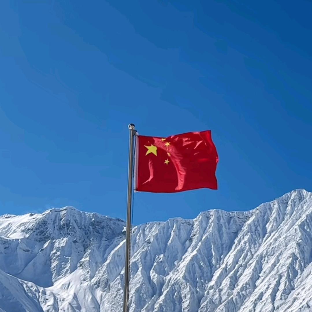 塔河胡杨