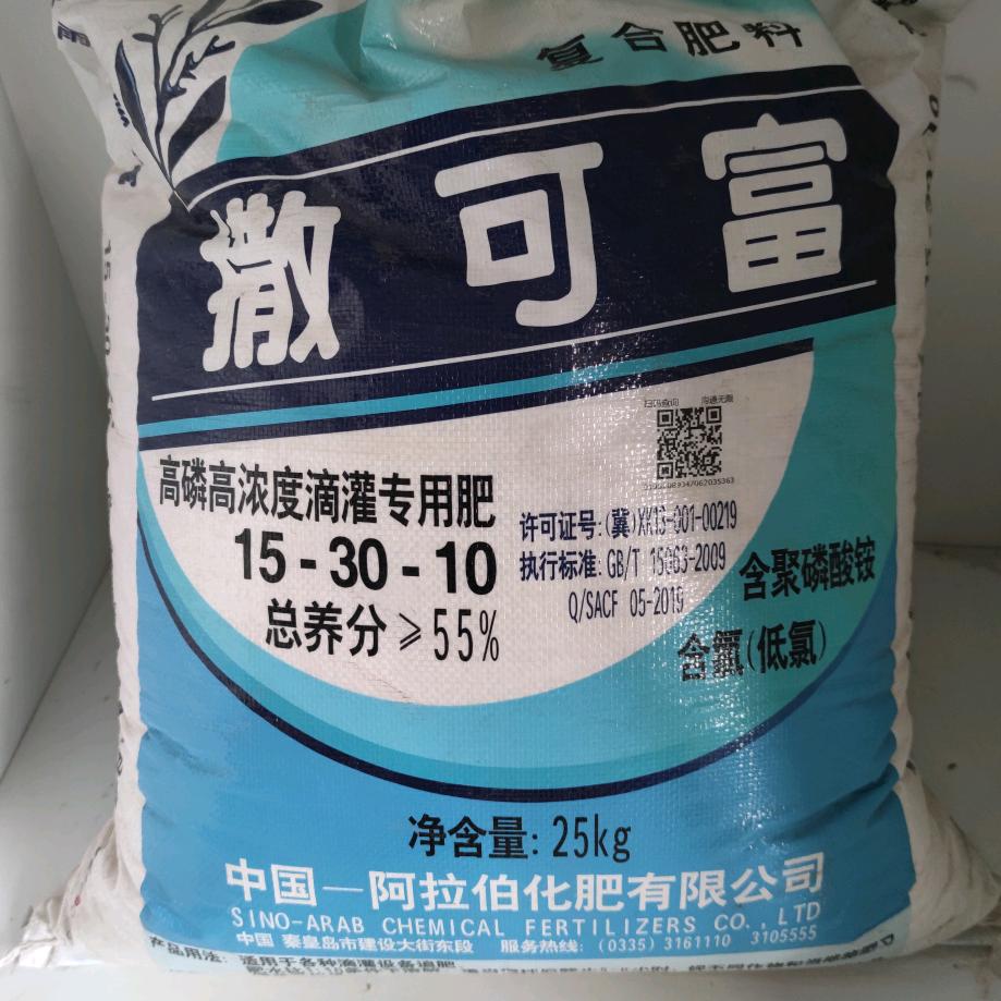 撒可富沙湾总经销杨红