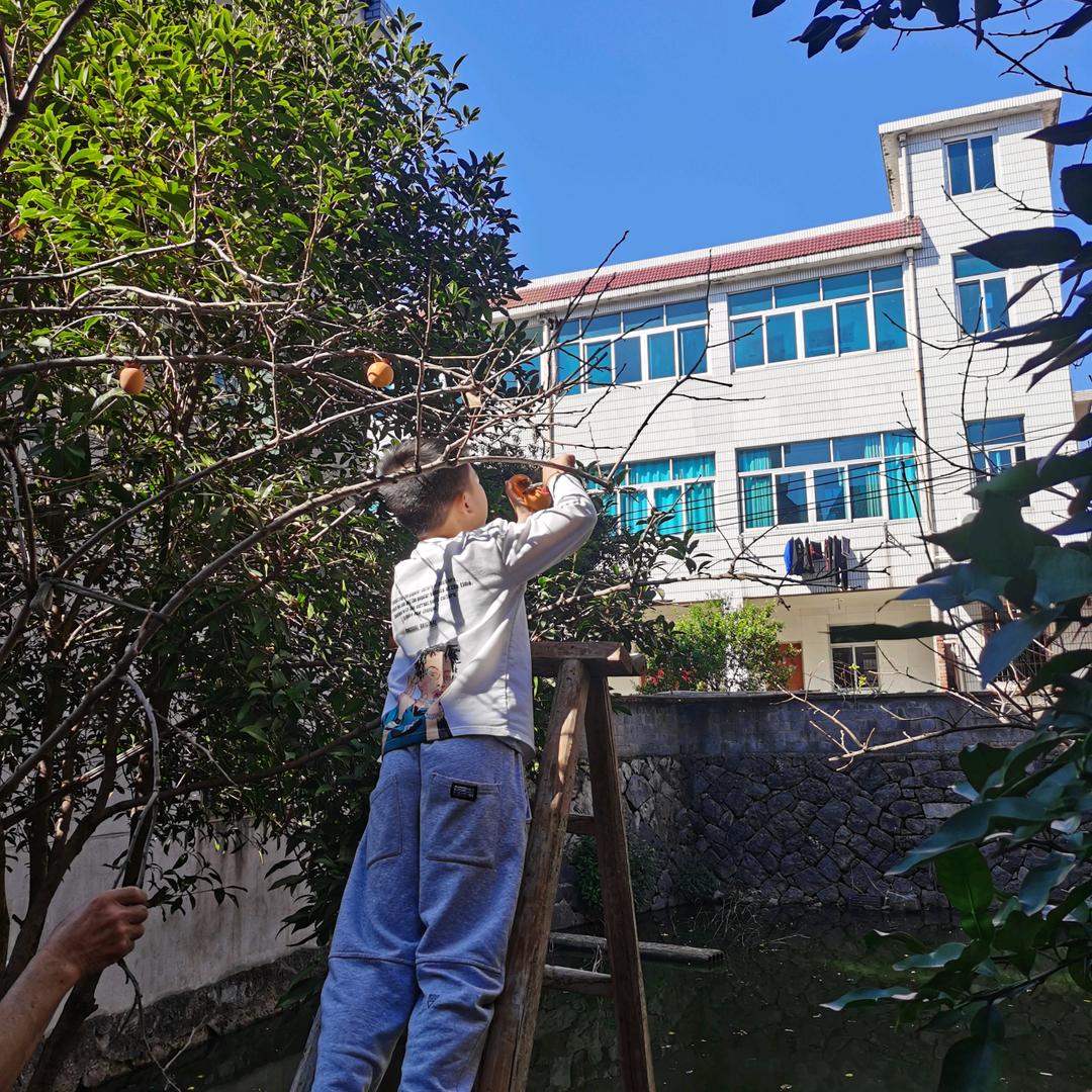 爱仔