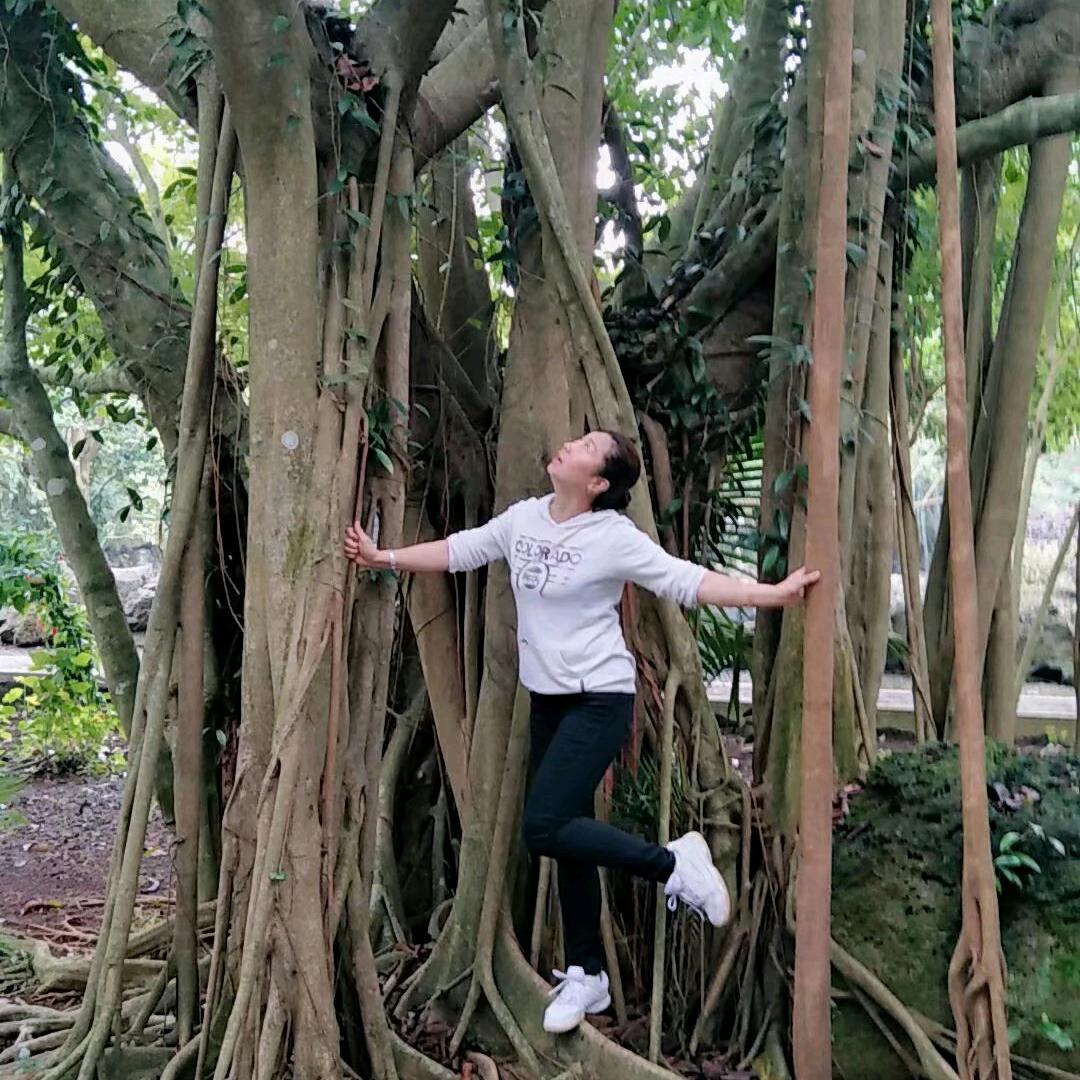 柔软时光