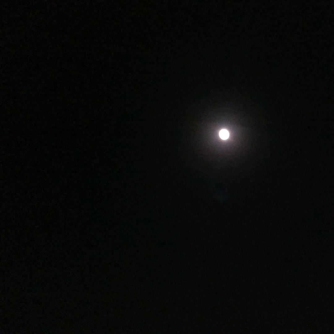 刚好遇见你