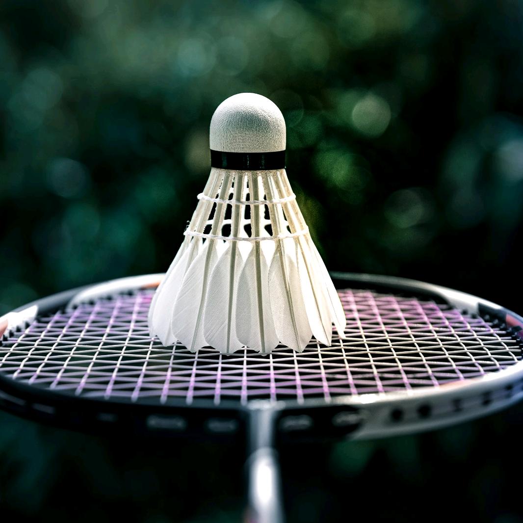 小黄不会杀球🏸