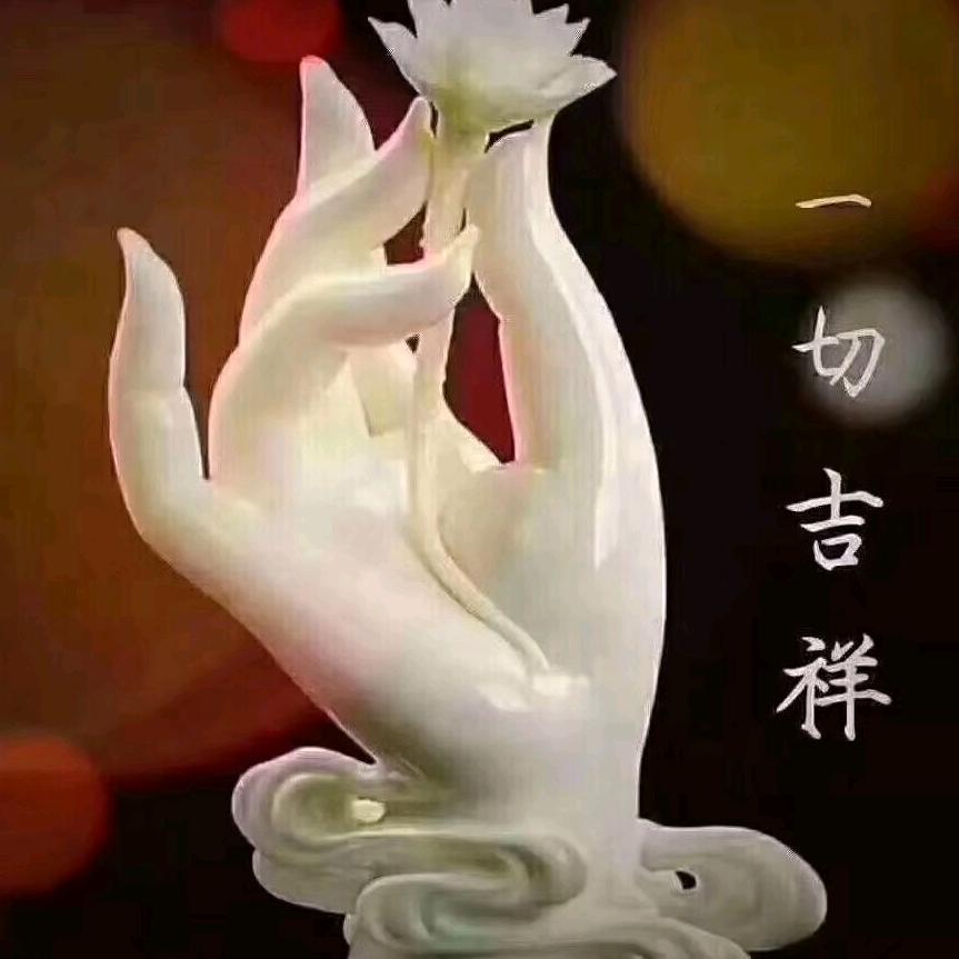 小雅666