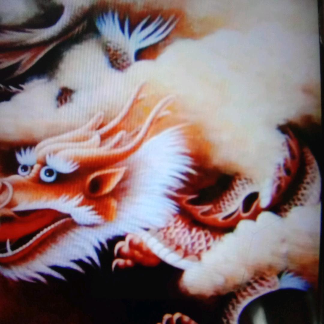 用户4179539437772殷加龙