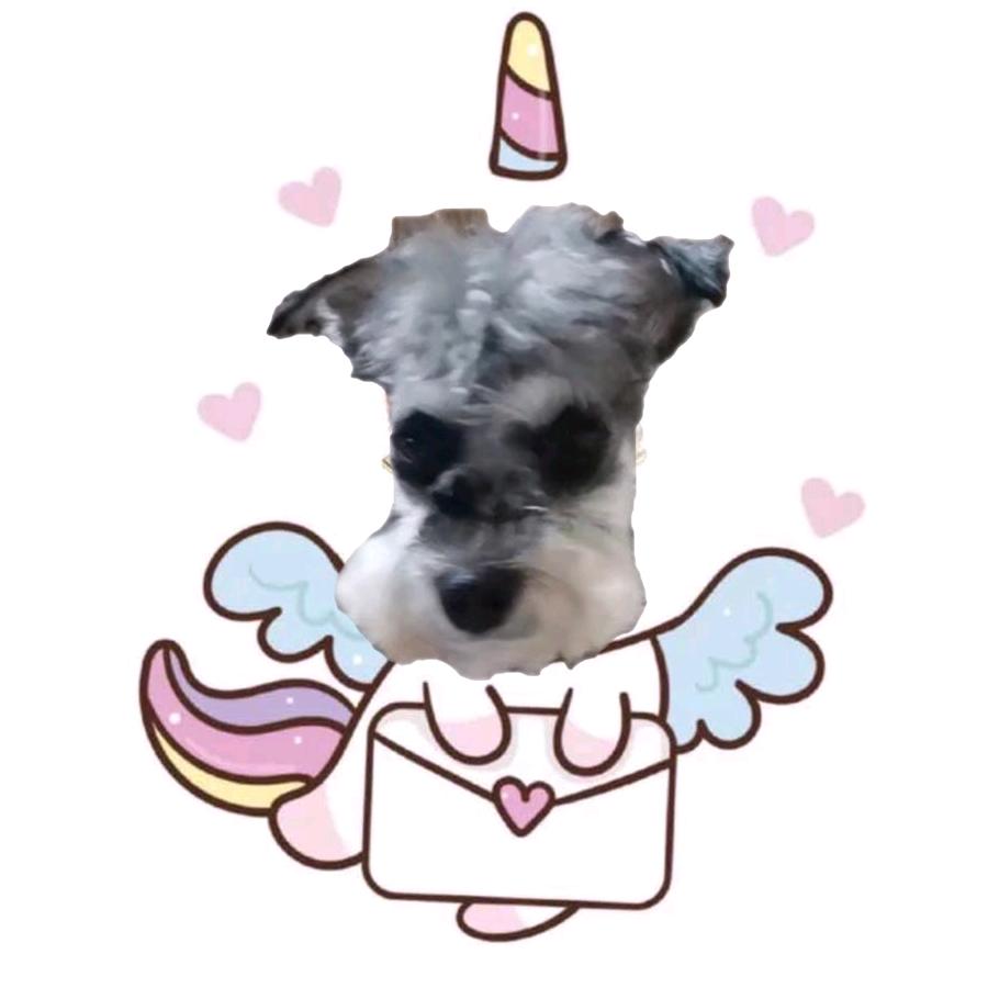 开心ヽ(○^㉨^)ﾉ♪小瓶盖