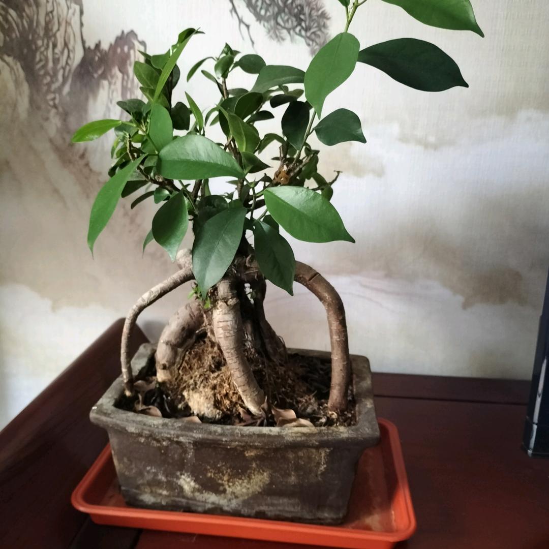 奋斗