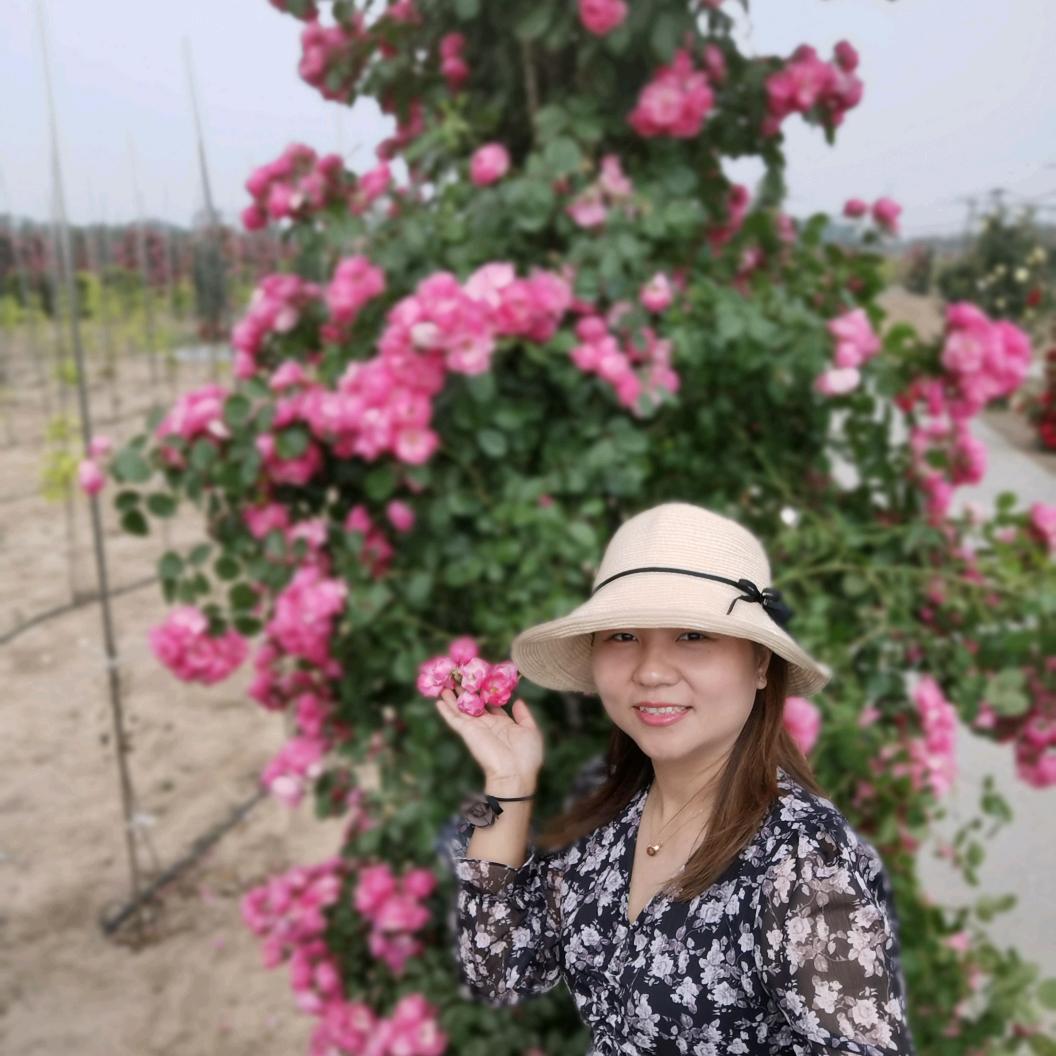 申庄红薯采摘园官方号