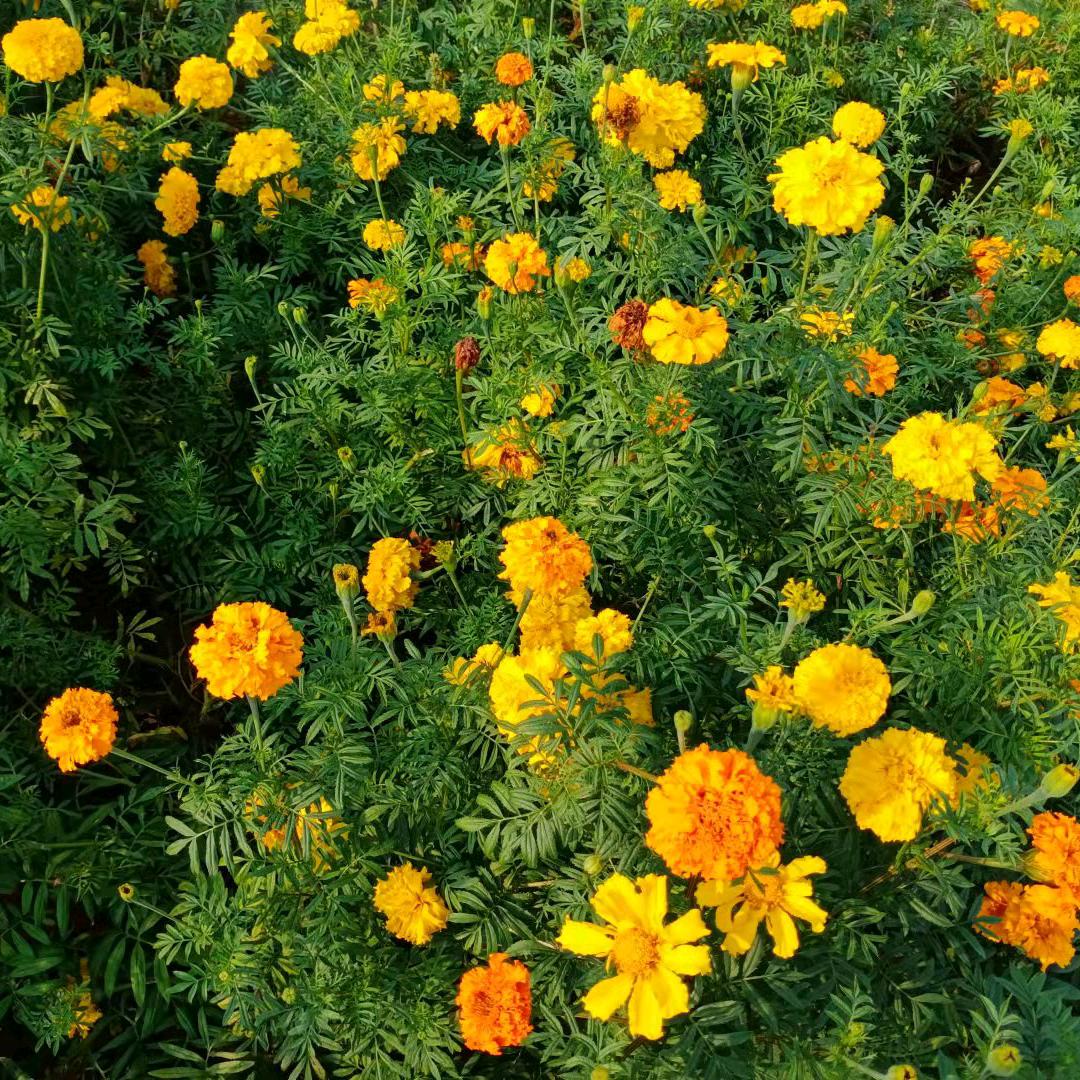 看清世俗的偏见