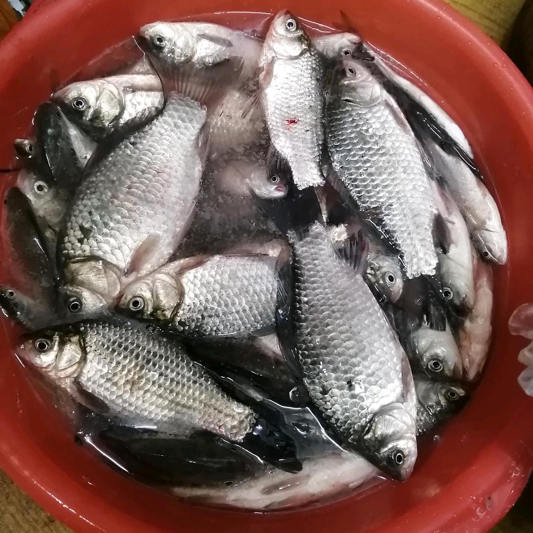 温馨港湾