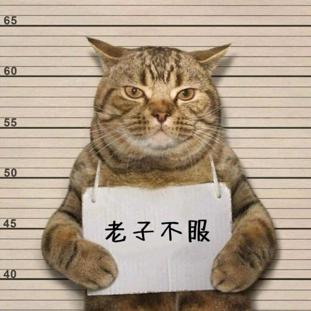 不做你妞做你娘