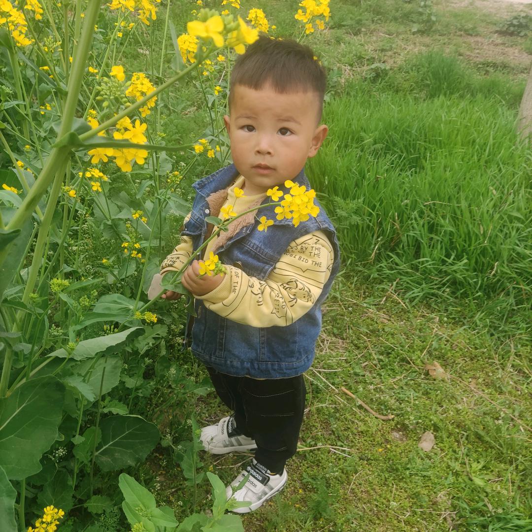 - ̗̀(๑ᵔ⌔ᵔ๑)岁月静好