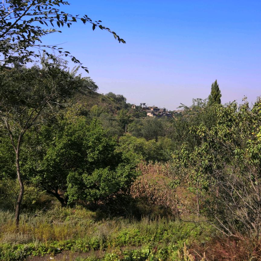 用户1243241295092哈哈哈