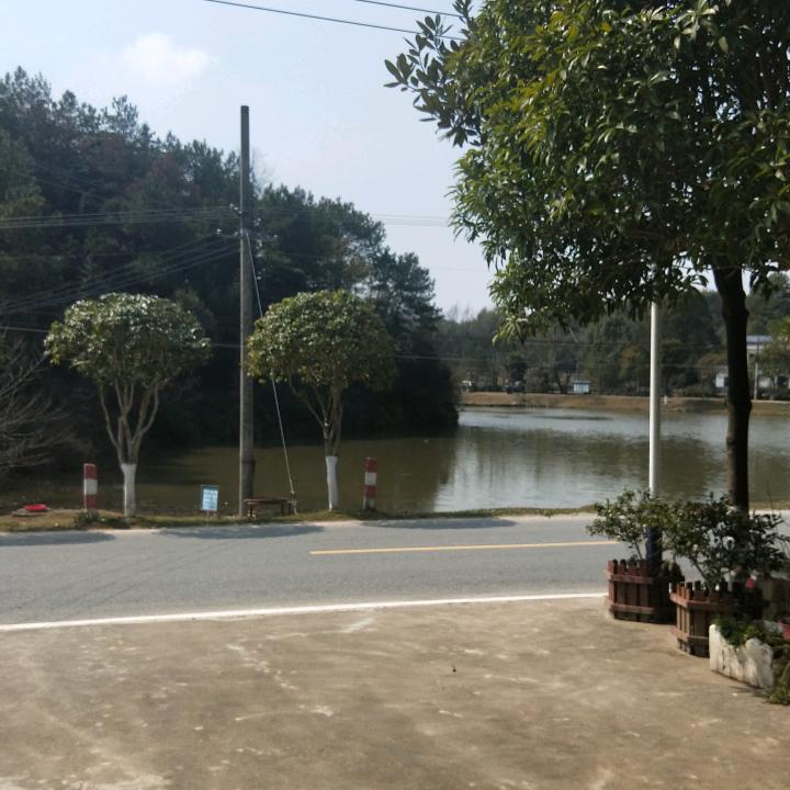 迈