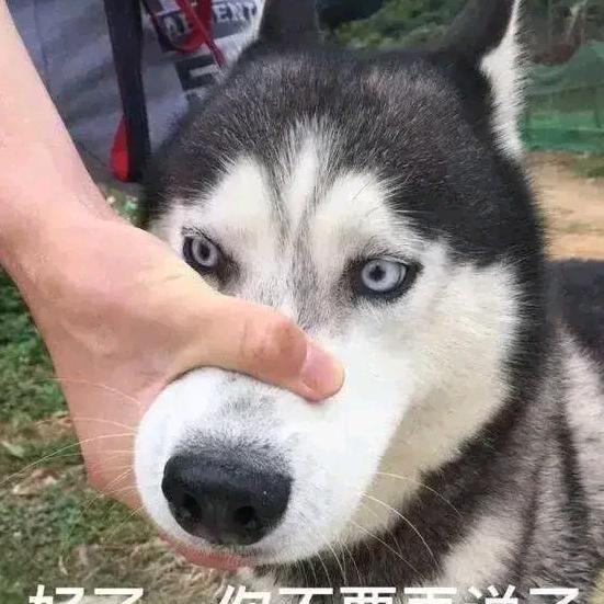 LOP