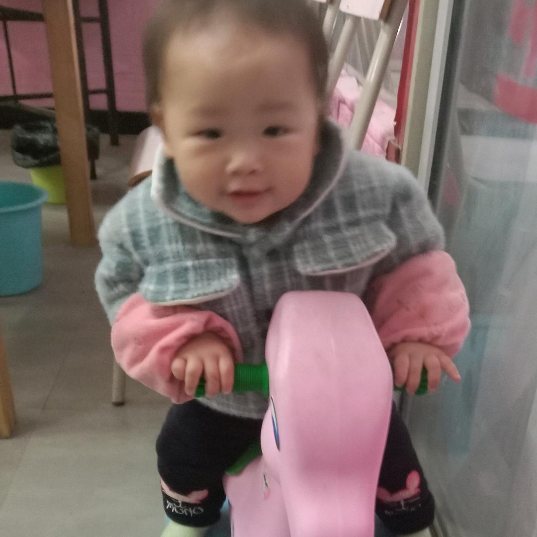 小妮子