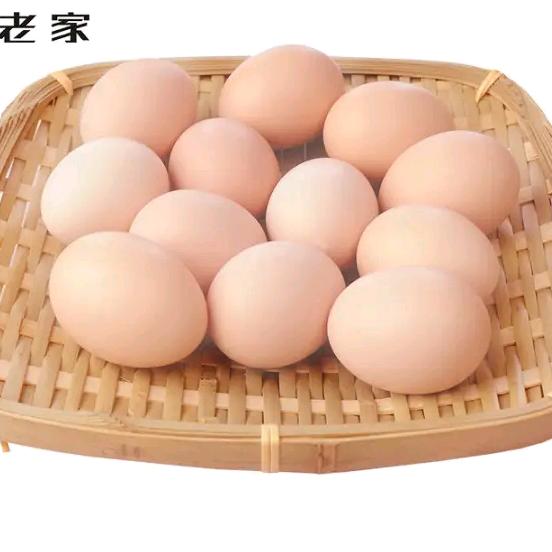 高氏蛋业供应链