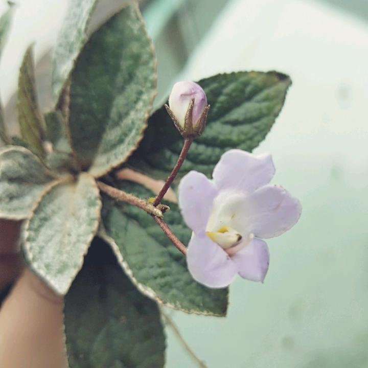 真真😊😊
