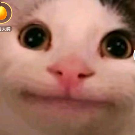 熊猫