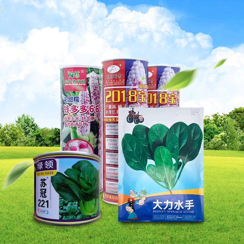 保达兴丰种子营业部